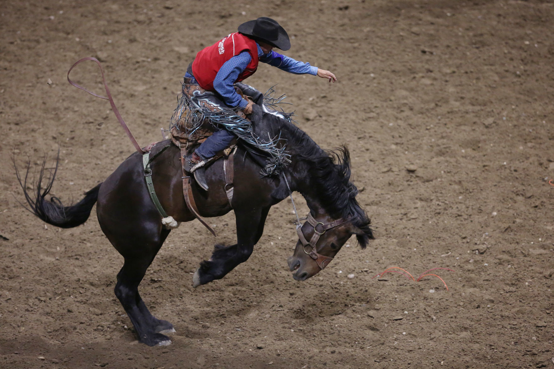 CNFR